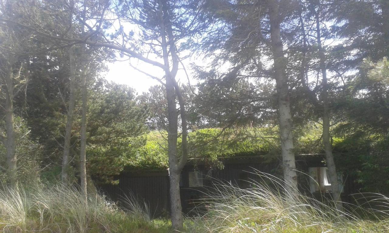 Konkylien Villa Pandrup Dış mekan fotoğraf
